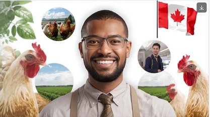 Poultry Farm Worker Jobs in Canada with Visa Sponsorship