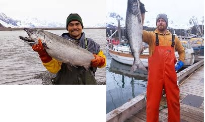 Fish Plant Worker Jobs in Canada with Free Visa Sponsorship